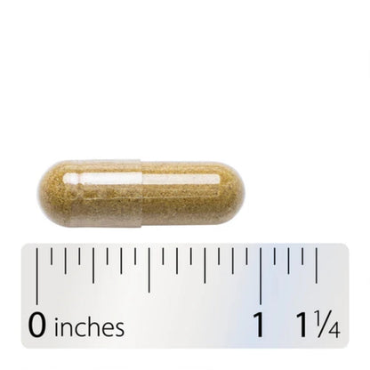 Nuez Negra - Cáscara - 1,000mg - 100 Cápsulas Veganas