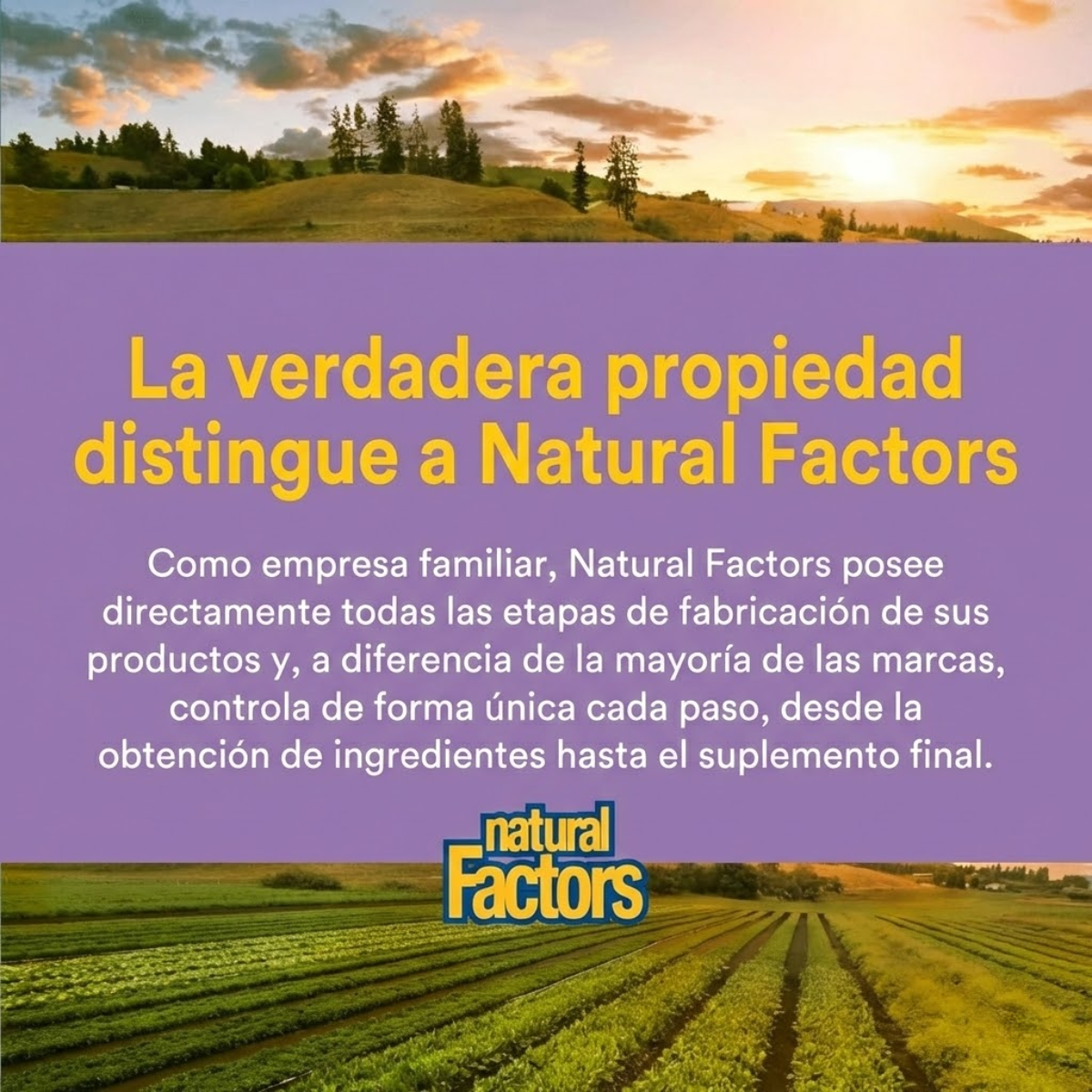 Coenzima Q10 100 mg En una Base de Aceite de Salvado de Arroz  30 sg, Natural Factors