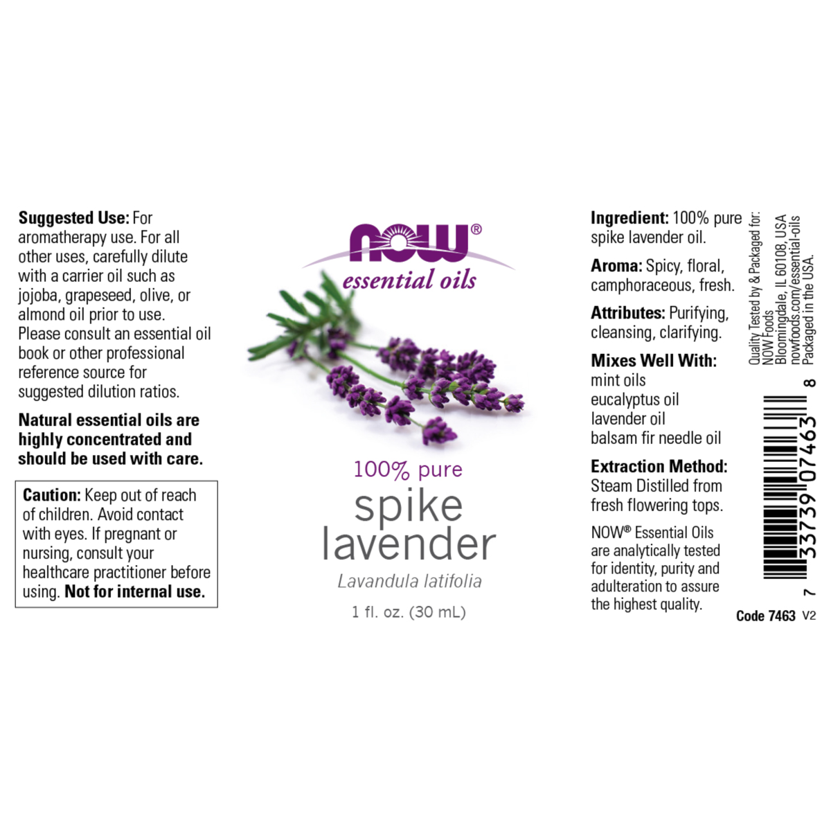 Aceite de Lavanda en Espigas (1fl. oz) / Spike Lavender Oil