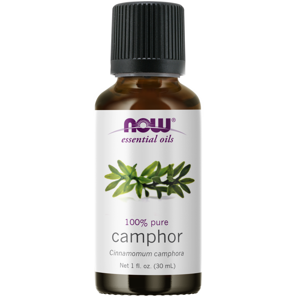 Aceite esencial de alcanfor (30ml) / Camphor Oil 1oz.