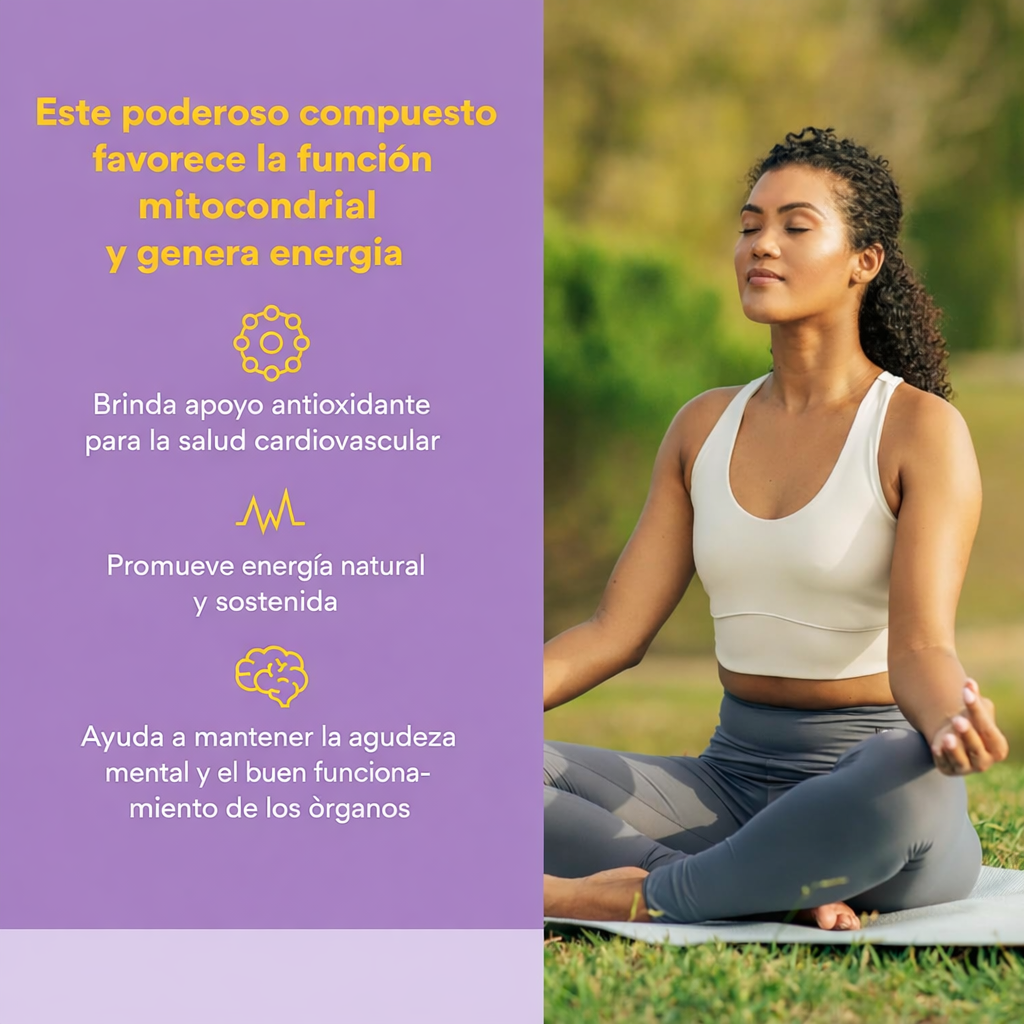 Ubiquinol Activo CoQ10 100 mg 30 sg, Natural Factors