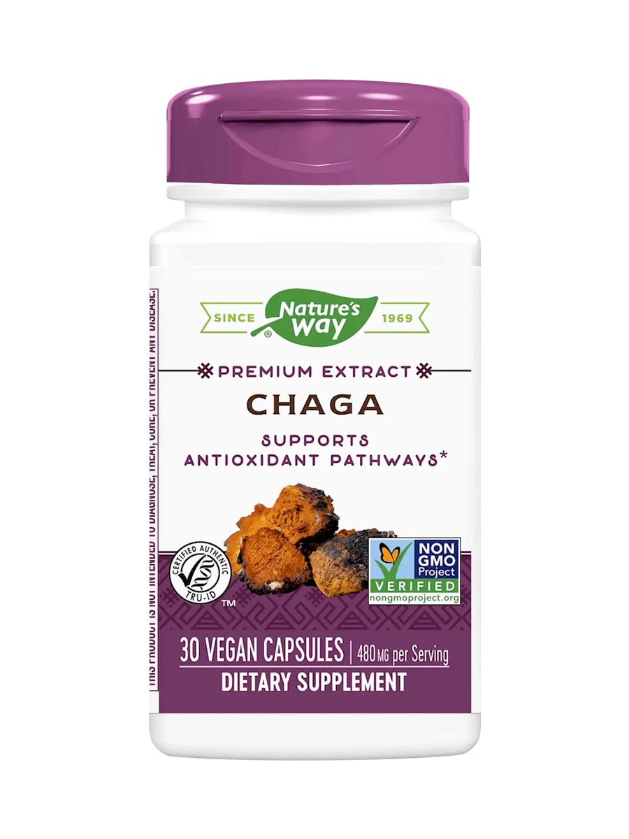 Chaga - Extracto Premium - 480mg - 30 Cápsulas Veganas