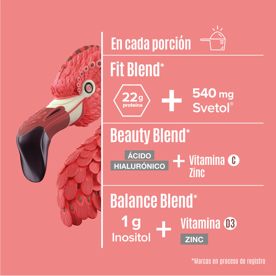 Fitmingo Proteina Moka (1.7 kg), Birdman