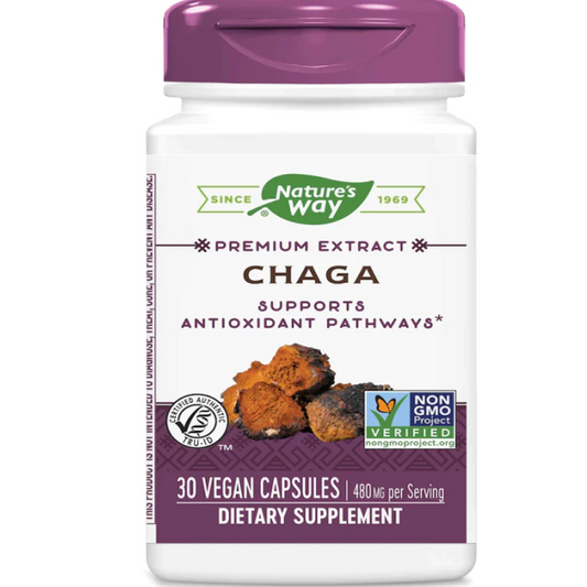 Chaga - Extracto Premium - 480mg - 30 Cápsulas Veganas