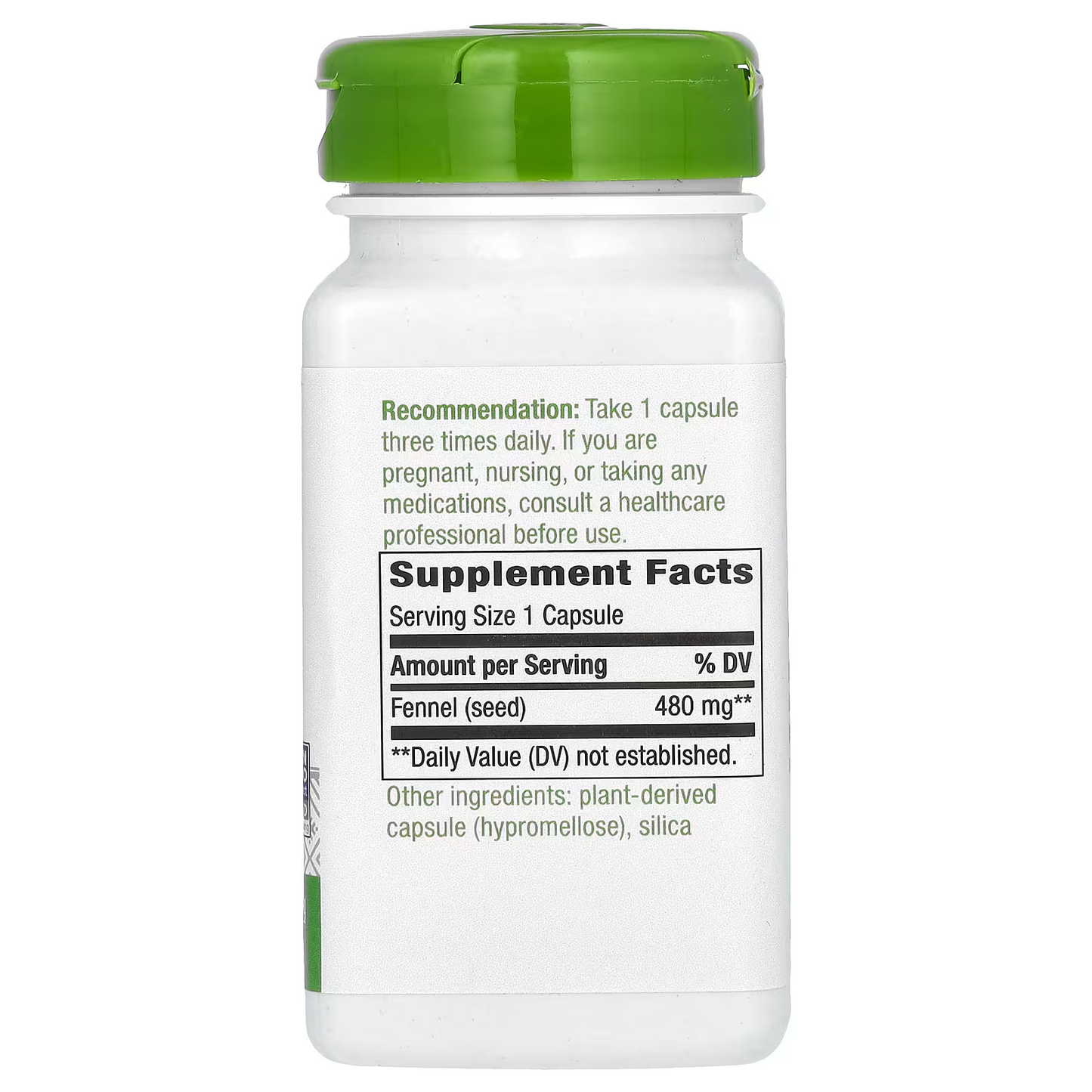 Hinojo - Semilla - 480mg - 100 Cápsulas Veganas