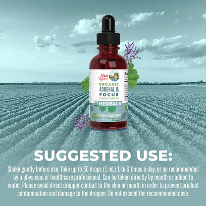 Mezcla de hierbas orgánicas suprarrenales y de enfoque 1oz (30ml) /Adult Adrenal & Focus Drops, Org, 1 oz