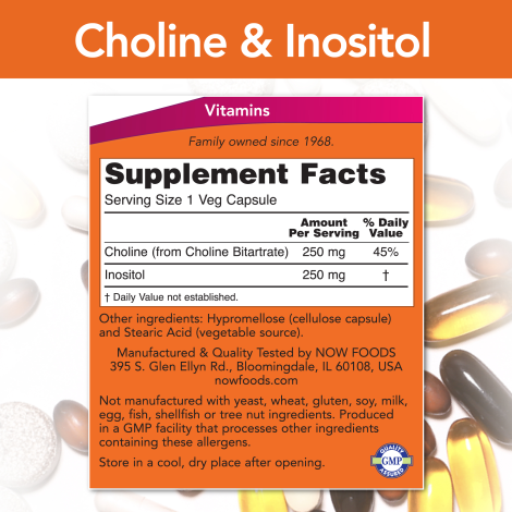 Colina e inositol 500 mg (100 VegCaps)/ Choline & Inositol 500 mg