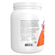 Lecitina De Girasol en Polvo (1 lb) / Sunflower Lecithin Pure Powder